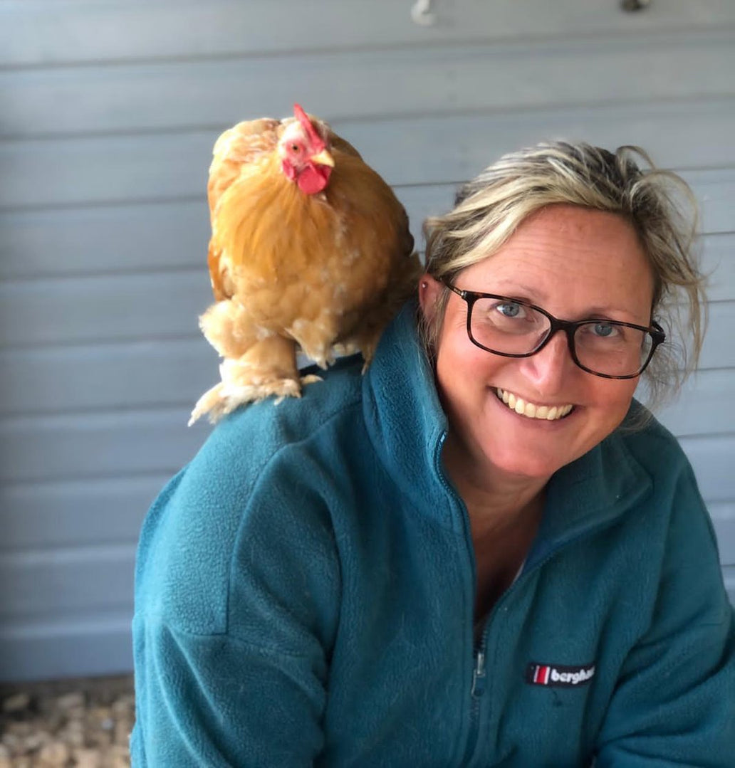 Cosa dicono i professionisti di Nestera?