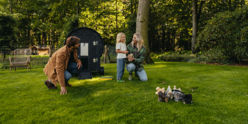 How big should a chicken coop be