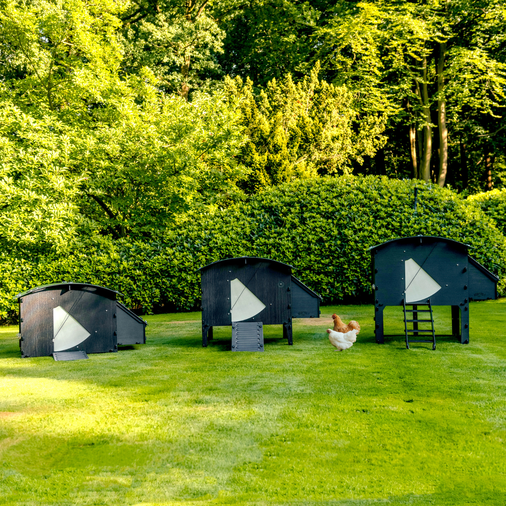 Che cos'è un Coop e che dimensioni dovrebbe essere?