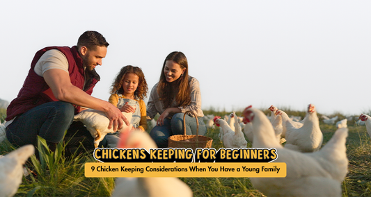 9 Chicken Keeping Considerations When You Have a Young Family