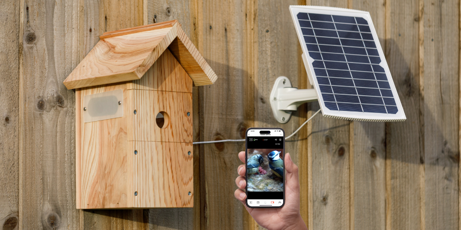 WiFi Bird Box Camera: Watch Nesting Birds Live in HD