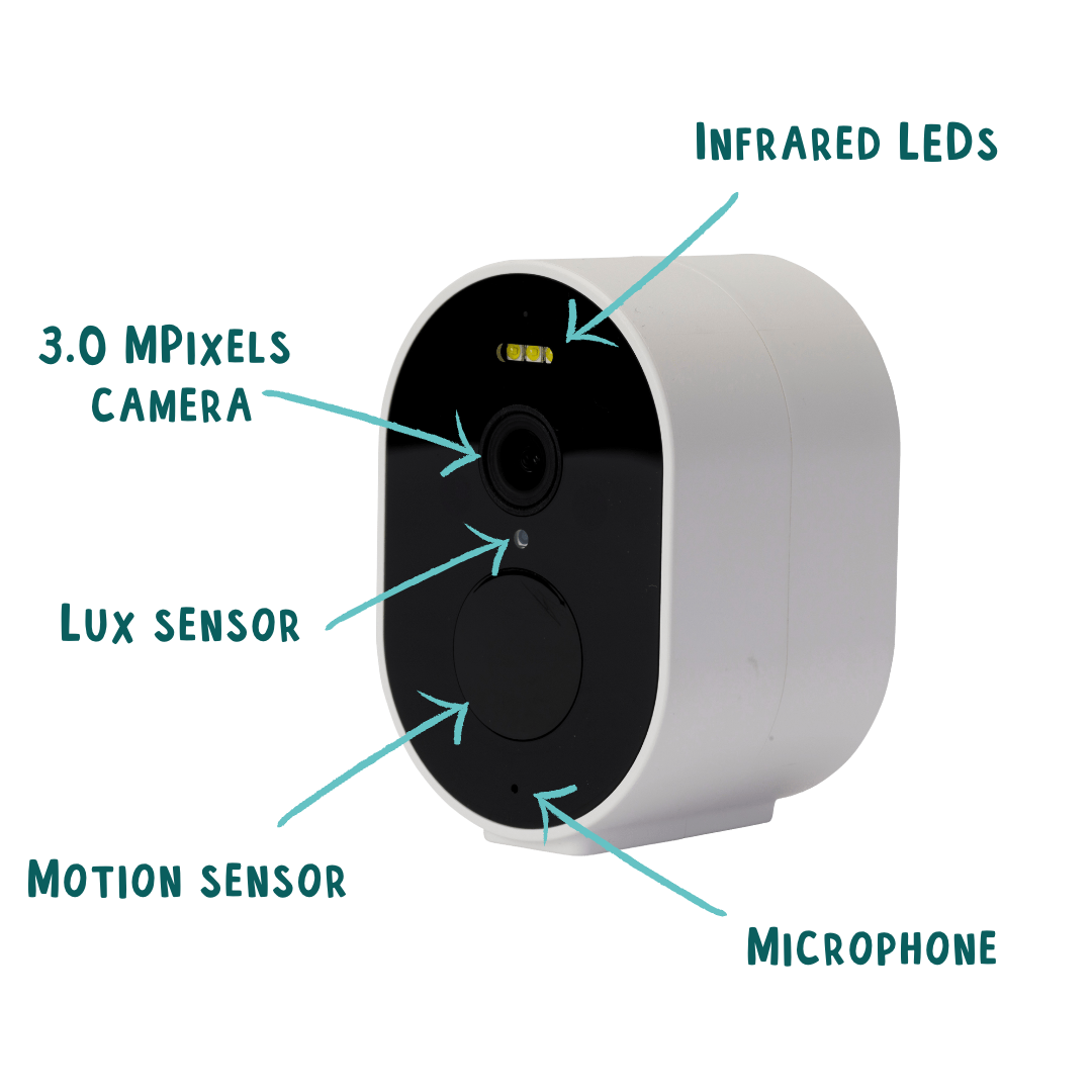 Telecamera Wi-Fi a batteria con scatola per uccelli con pannello solar