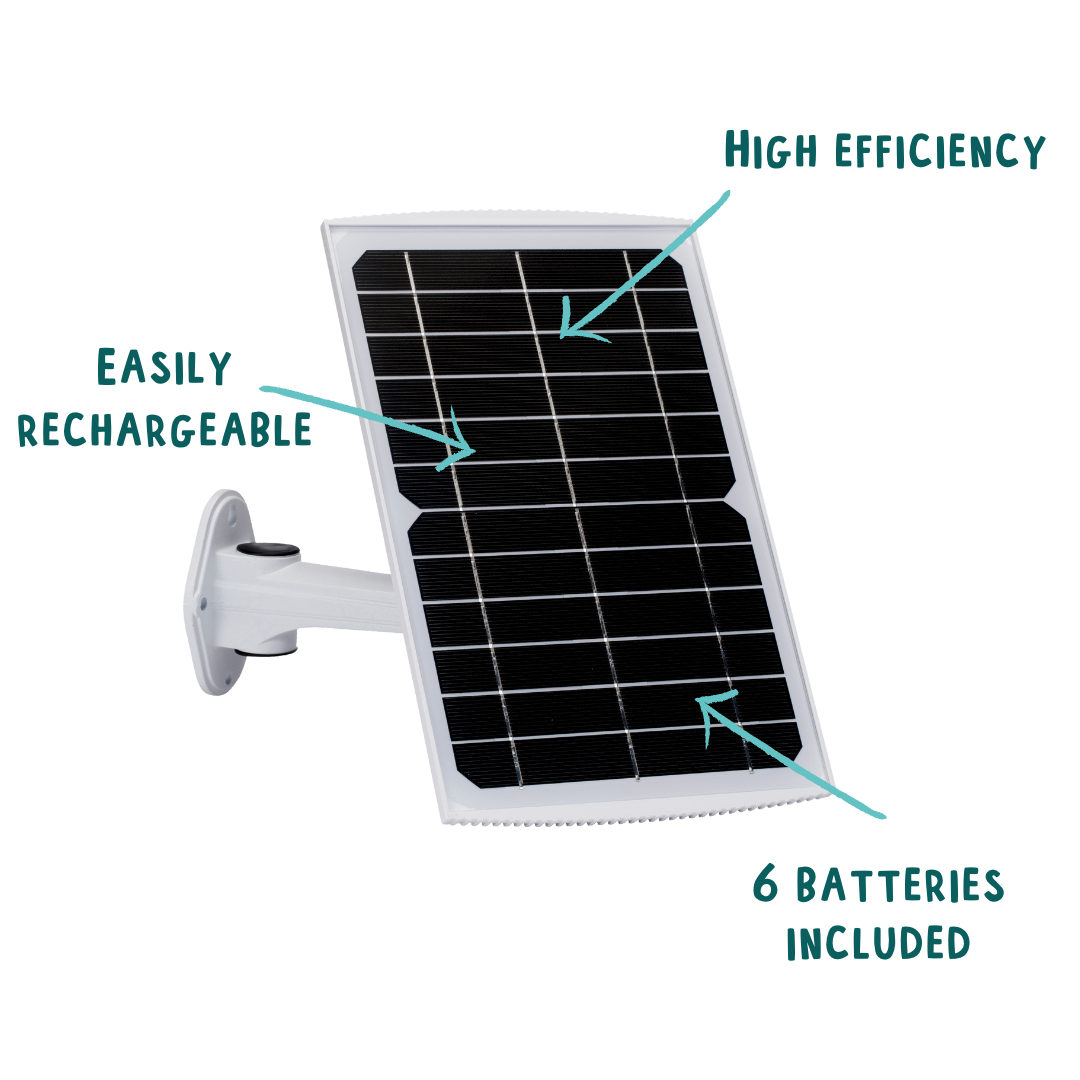 Telecamera Wi-Fi a batteria con scatola per uccelli con pannello solar