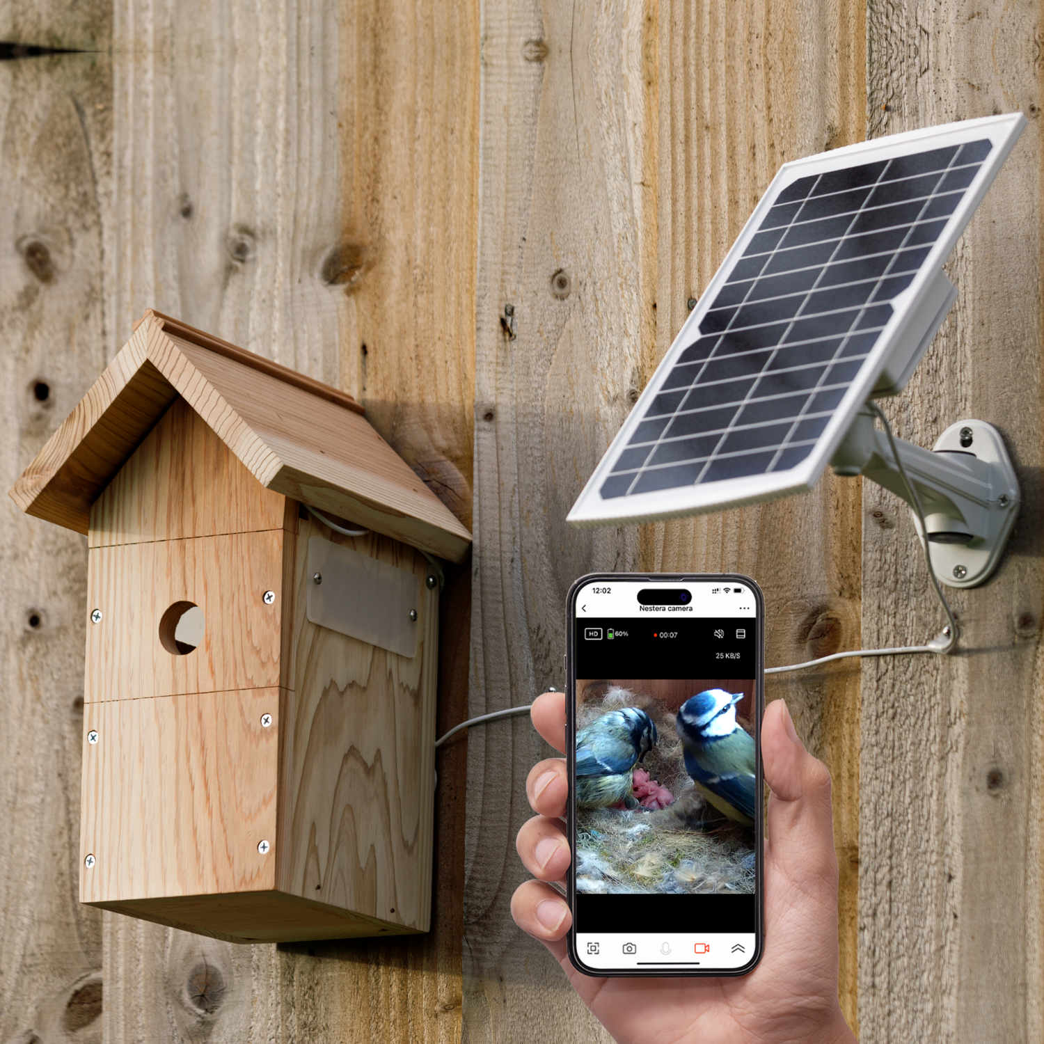 Telecamera Wi-Fi a batteria con scatola per uccelli con pannello solar